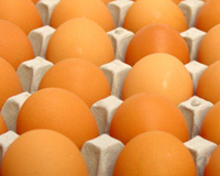 Bangladesh allows egg imports to meet Ramadan demand