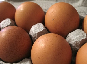 IFE study: Eggs today healthier and safer