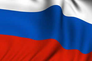 Russia sees steady growth in the poultry industry