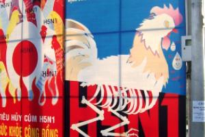 Vietnam prepares for bird flu