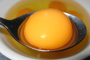 BEIS questions egg yolks study