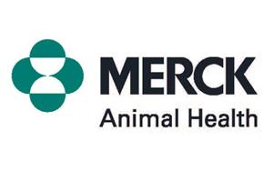 Merck Animal Health partners with layer operations on Salmonella