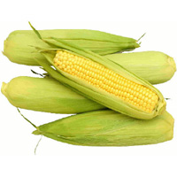 Corn to be imported duty free in Philippines