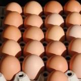 Egg packer fined for mislabelling eggs