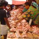 Mismanaged African poultry imports cause health hazzard