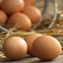 Massive increase in UK free-range eggs