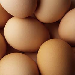 June egg production down 1%