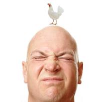 The secret to preventing baldness: chicken dung!