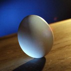 Many EU egg farms contaminated with Salmonella