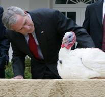 US: 60th anniversary of turkey pardoning