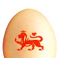 UK: New Lion Eggs website to trace eggs