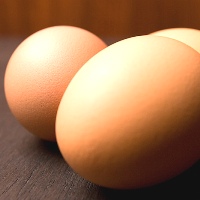 Eggshells valuable for Uganda