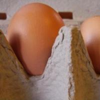 Egg sales reach highest level in 15 years