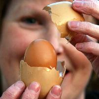 Cracking discovery – egg inside an egg