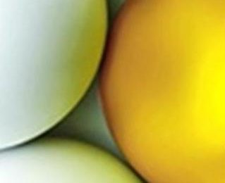 Top UK companies named ‘Good Eggs’