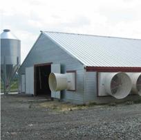 Investment in poultry housing increasing