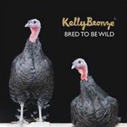 Kelly turkeys eying for US market