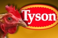Tyson’s chicken unit earns highest profit