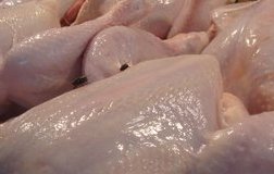 FSA: Campylobacter and Salmonella in chicken