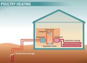 Heat pumps offer low energy heating for poultry