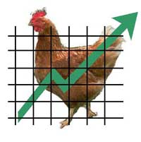 Investors interested in Malaysian poultry stocks