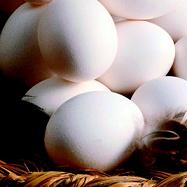 Hungary hits top five for eggs