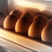 UK egg producers ready to meet salmonella controls
