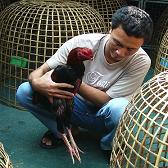 Thai producers worried about EU chicken quota