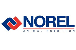Norel unveils new website and corporate image