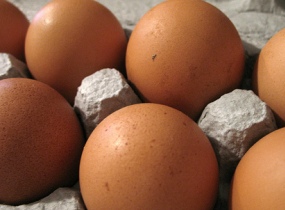 Jail and £3 mln fine for egg conman