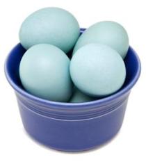 Pete and Gerry’s introduces heirloom-breed blue eggs