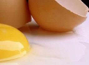 Egg whites may fight poultry infections