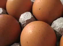 Traceability system for Canadian egg industry