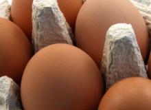 Egg products litigation, UEP releases a statement