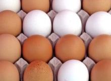 ARS: No quality difference between eggs