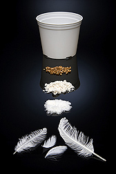 Feathers to form green base for plastics