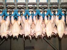 Poultry ban is lifted for most U.S. plants