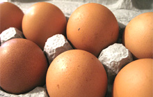 Russian Ministry of Agriculture requests prompt info about salmonella eggs