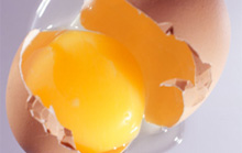 Iowa Poultry Association releases statement on the recall of eggs