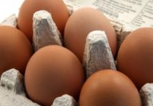 UK poultry industry threatened by illegal eggs
