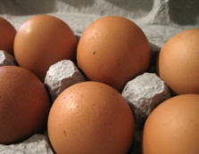 Austrian egg producers demand fair prices