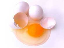 EU approves Delvo Nis, extending shelf life of liquid egg products
