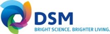 New corporate identity for DSM