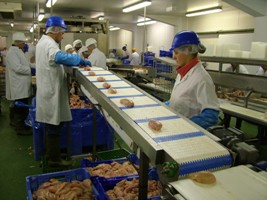 EU poultry industry slightly optimistic