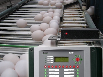 Fancom improves egg counting software for alternative housing systems