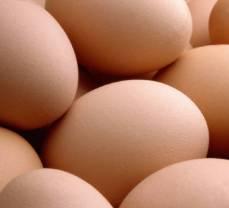 US egg production up slightly in April