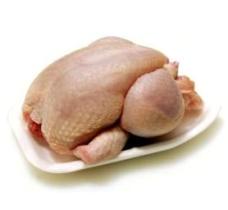Campylobacteriosis in 98% of Irish poultry carcasses