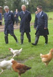 British royalty visits Moy Park farm