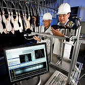 New technologies for CSI: chicken scene investigation