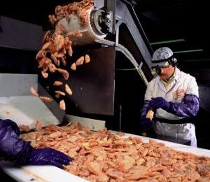 Plant inspection pilot bodes well for US-Canada poultry trade